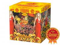 Красивая жизнь Фейерверк купить в Игарке | igarka.salutsklad.ru