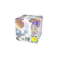 Новогодняя ночь Салют купить в Игарке | igarka.salutsklad.ru