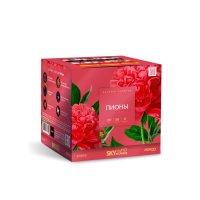 Пионы Салют купить в Игарке | igarka.salutsklad.ru