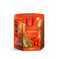 Тюльпаны Салют купить в Игарке | igarka.salutsklad.ru