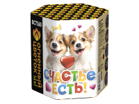 Счастье есть! Салют купить в Игарке | igarka.salutsklad.ru