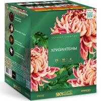 Хризантемы Фейерверк купить в Игарке | igarka.salutsklad.ru