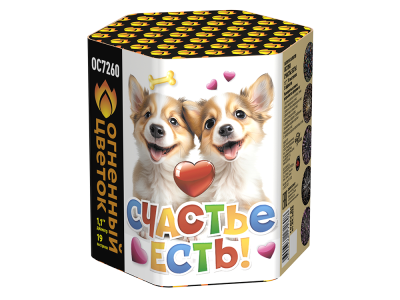 Счастье есть! Салют купить в Игарке | igarka.salutsklad.ru